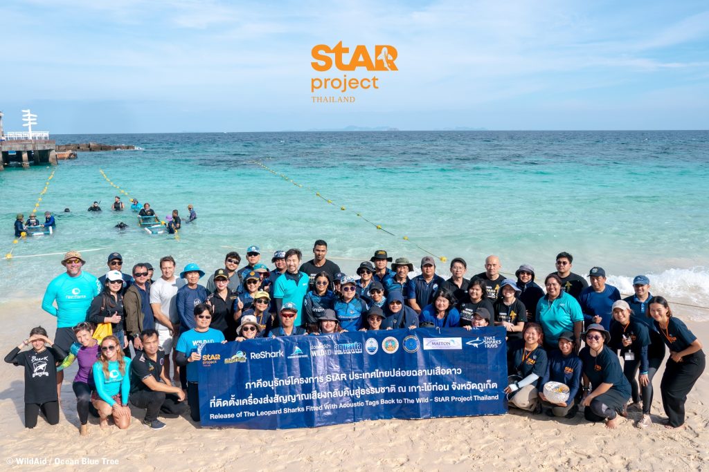 ภาคีอนุรักษ์โครงการ StAR ประเทศไทยร่วมปล่อยฉลามเสือดาว 4 ตัวที่ติดตั้งเครื่องส่งสัญญาณเสียงติดตามการเคลื่อนที่คืนสู่ธรรมชาติรวมตลอดปีปล่อยแล้ว 7 ตัว